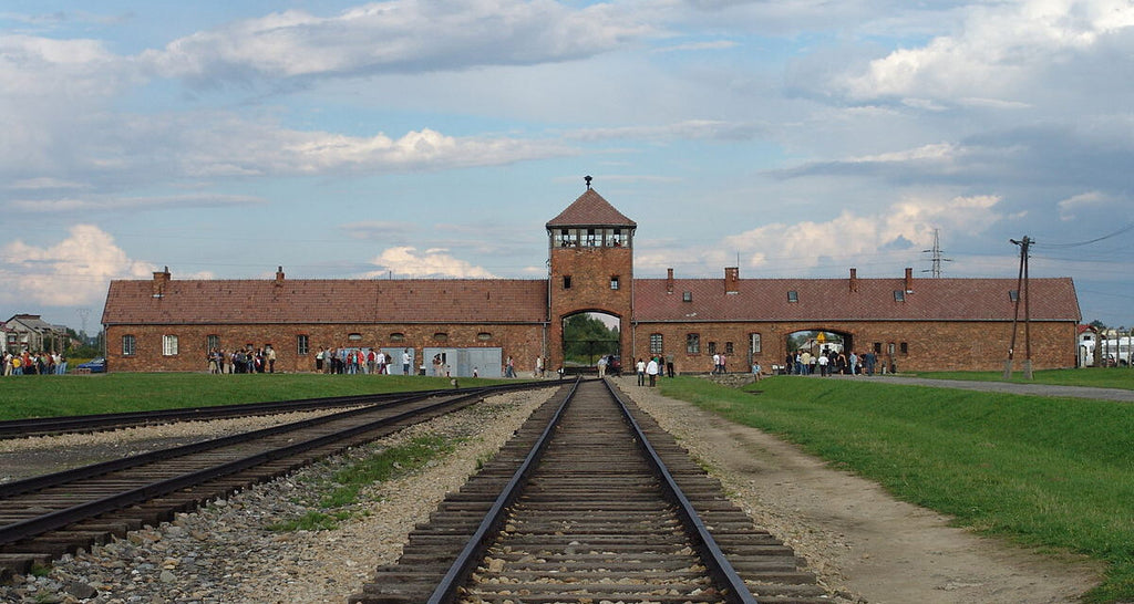 Private Guided Tour To Auschwitz Birkenau From Vienna
