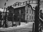 Private Guided Tour To Auschwitz Birkenau From Vienna