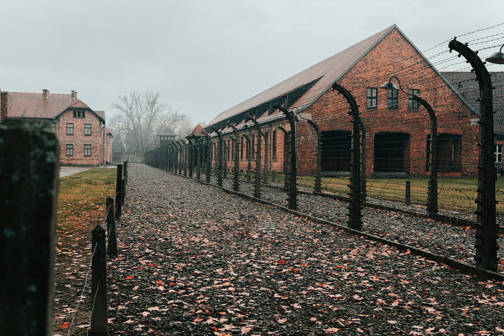 Private Guided Tour To Auschwitz Birkenau From Vienna