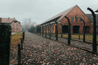 Private Guided Tour To Auschwitz Birkenau From Vienna