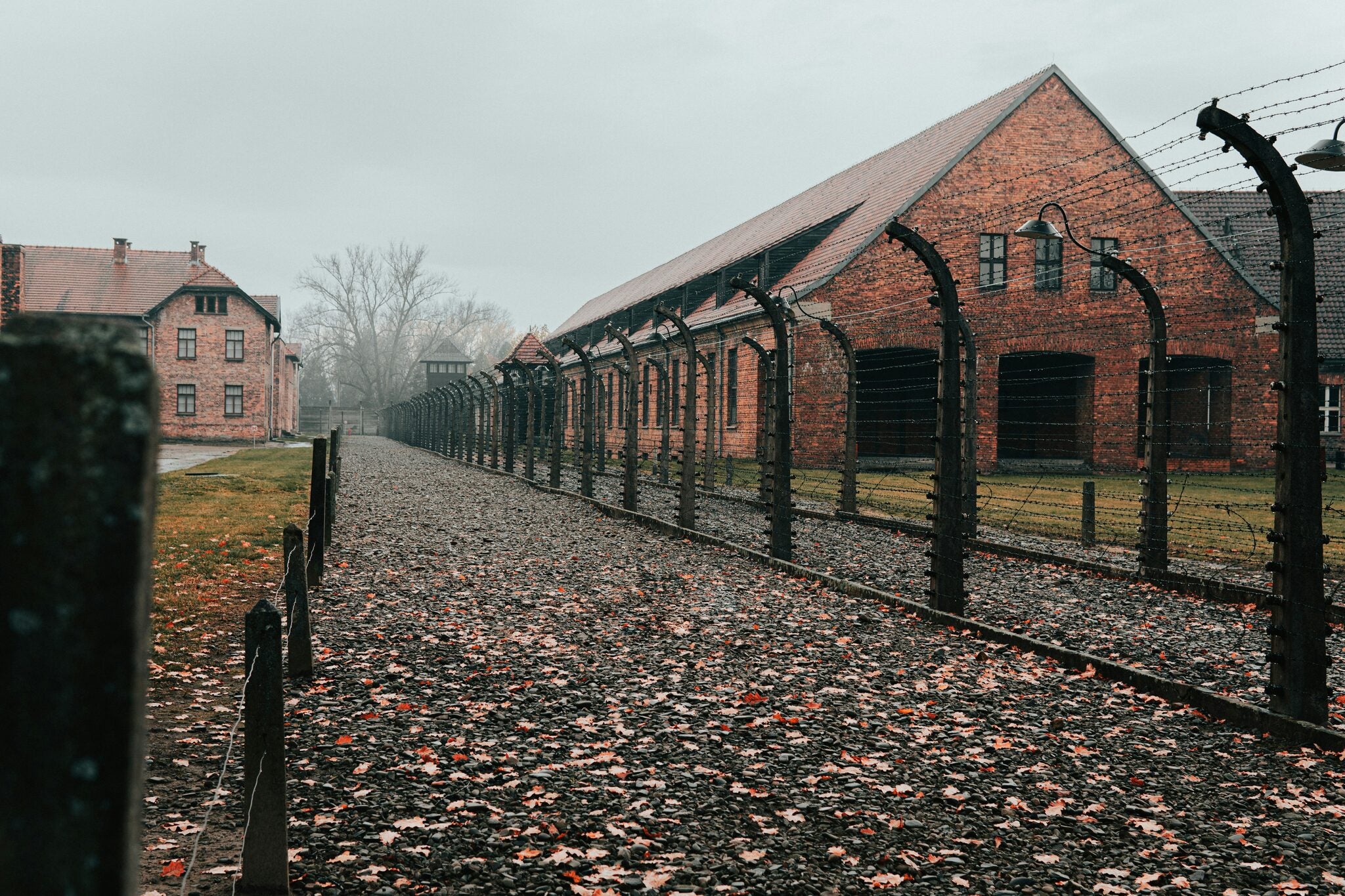 Private Guided Tour To Auschwitz Birkenau From Vienna