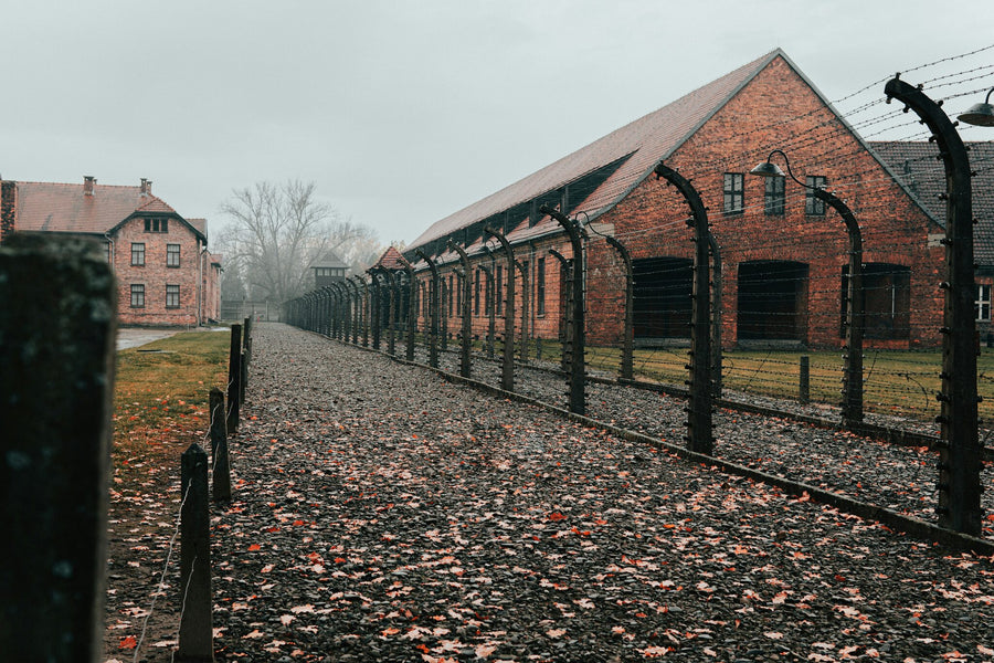 Private Guided Tour To Auschwitz Birkenau From Vienna