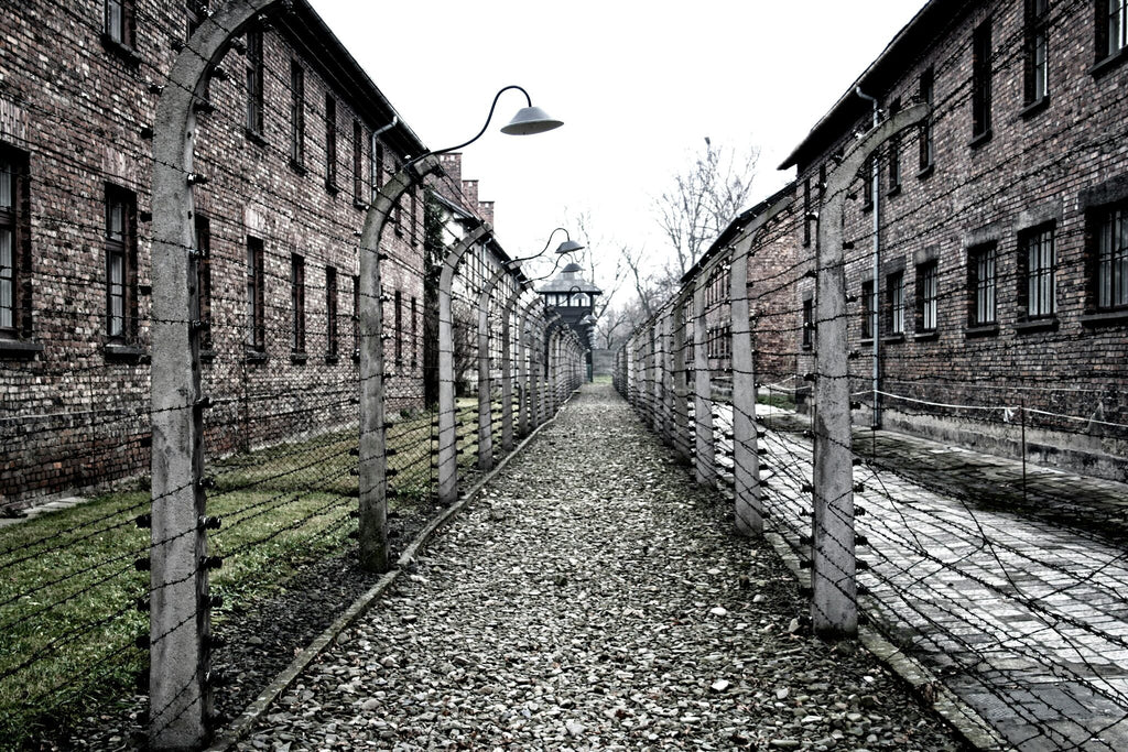 Private Guided Tour To Auschwitz Birkenau From Vienna