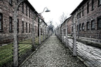 Private Guided Tour To Auschwitz Birkenau From Vienna