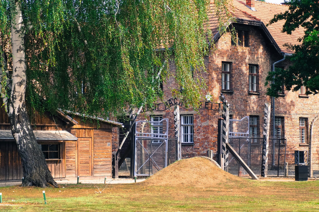 Private Guided Tour To Auschwitz Birkenau From Vienna