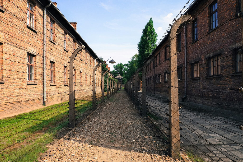 Private Guided Tour To Auschwitz Birkenau From Vienna