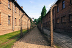 Private Guided Tour To Auschwitz Birkenau From Vienna